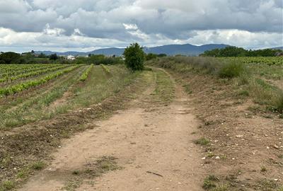S’inicia la senyalització de la Ruta del Camí Fariner, que uneix Vilafranca i Santa Margarida i els Monjos. Ajuntament de Vilafranca