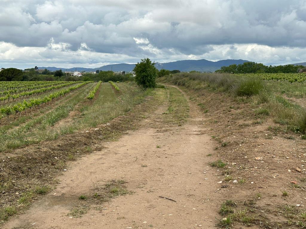S’inicia la senyalització de la Ruta del Camí Fariner, que uneix Vilafranca i Santa Margarida i els Monjos. Ajuntament de Vilafranca