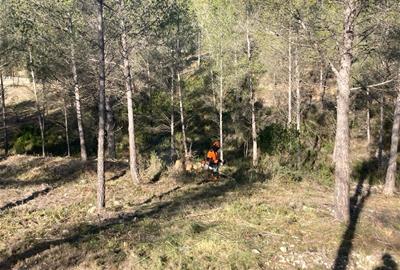Tasques de neteja forestal a Olivella. Ajuntament d'Olivella