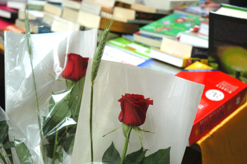 sant jordi, roses i llibres