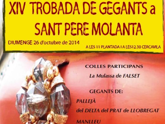 Trobada de Gegants a Sant Pere Molanta