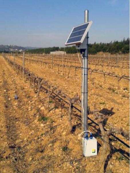 Ajuntament de Vilafranca. Dues empreses vilafranquines col·laboren en un projecte de millora de leficiència energètica de la indústria vitivinícola