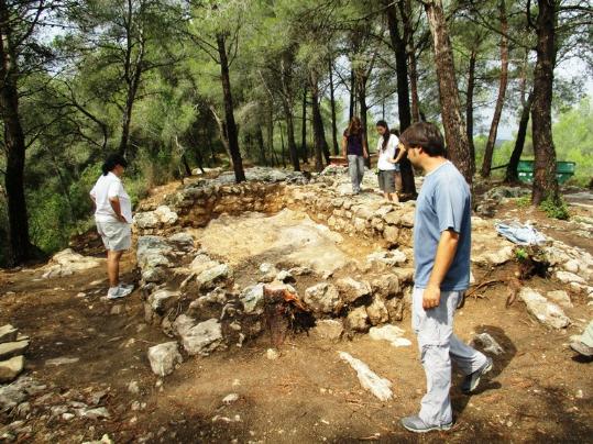 Les excavacions al Pla dels Albats. Ajuntament d'Olèrdola