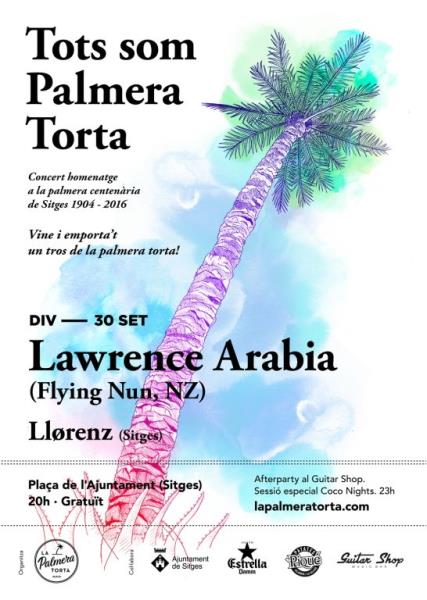 La Palmera Torta organitza un concert d’homenatge a la palmera centenària