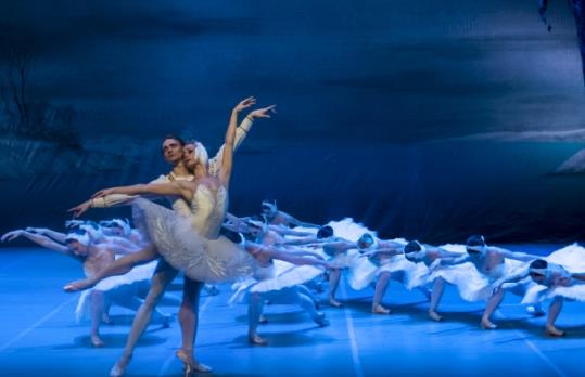 El Lago de los cisnes, per St. Petersburg Festival Ballet
