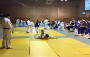 Campionat Interclub provincial per equips de judo . Eix