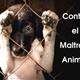 Contra el maltrato animal. Eix