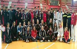 Selecció catalana de Taekwondo. Eix