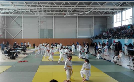 Copa Catalunya de Judo disputada a Coma Ruga . Eix