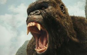 King Kong a 'Kong: La isla calavera' . EIX