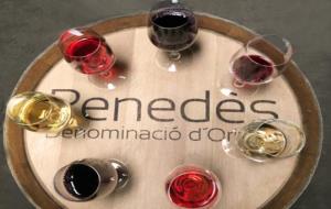 La DO Penedès fa una interpretació sonora del món del vi de la mà del percussionista Santi Carcasona. EIX