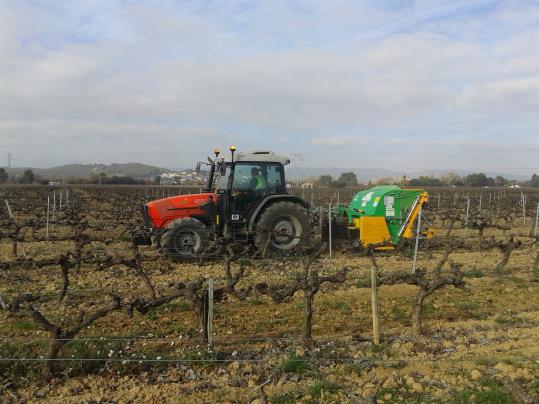 L’objectiu del projecte guanyador és promoure l’aprofitament de la biomassa sobrant provinent de la poda de les vinyes del Penedès. Ajuntament de Vila