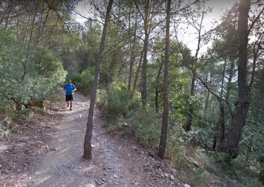 Niu de l’Àliga, a Alcover. Google Street View