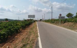 Pla general de la carretera TV-2401 a l'entrada al nucli del Mirador del Penedès, al municipi del Montmell. Diputació de Tarragona