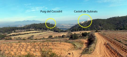 Recerca arqueològica a Puig del Cocodril, a Subirats, centre de poder de la Cossetània Oriental. ArqueoVitis SCCL