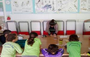 S’impulsen activitats d’educació ambiental a les escoles del Vendrell. Ajuntament del Vendrell