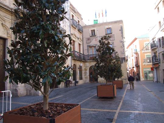 Tres jardineres amb magnòlies substitueixen els antics plataners de la plaça Vella del Vendrell. Ajuntament del Vendrell