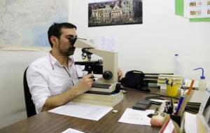 Un investigador de la UAB observa grans de pol·len al microscopi. ACN
