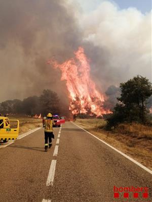 Nit d'alerta al nord del Penedès per l'incendi sense control de Santa Coloma de Queralt. Bombers