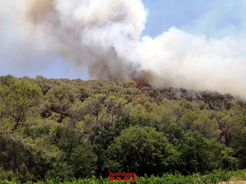 Alerta màxima al massís del Garraf per un incendi forestal a Olivella. Bombers