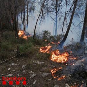 Els Bombers estabilitzen el 75% del perímetre de l'incendi forestal de Sant Pere de Ribes. Bombers