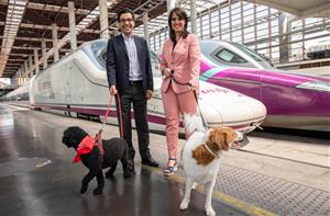 Renfe fa una prova pilot per viatjar amb gossos de fins a 40 quilos amb trens AVE i llarga distància. ACN