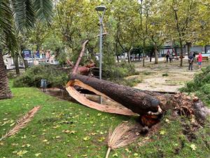 Un esclafit a Vilafranca del Penedès inunda carrers i tomba arbres . ACN