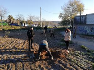 Una vintena de voluntaris i familiars comencen a plantar el Bosc de la Memòria de la deportació . Projecte Buchenwald