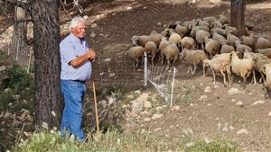 Una ruta turística reproduirà l'experiència dels pastors d'ovelles amb la gastronomia i els paisatges del Baix Penedès. CC Baix Penedès