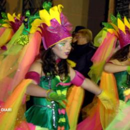 ASSOC. CARNAVAL SANT PERE MOLANTA. Fantasia: el rei del jardí - Olerdola