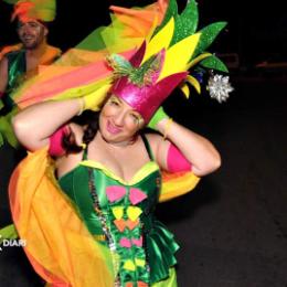 GRUP DE CARNAVAL SANT PERE MOLANTA. El Rei del jardí