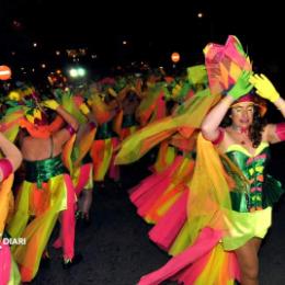 GRUP DE CARNAVAL SANT PERE MOLANTA. El Rei del jardí