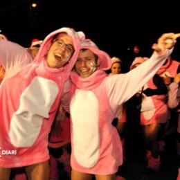 CARNAVAL JOVE LA MUNIA. The Munia’a Pink Panther