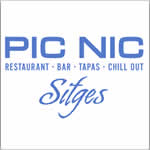 Logotip de PIC NIC