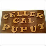 CELLER DE CAL PUPUT