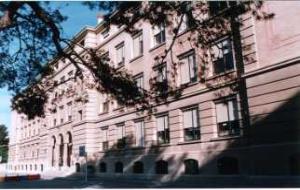 L'escola Pompeu Fabra acull aquest any 3 línies de P3