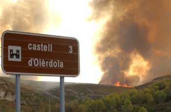 El foc va destruir gran part del paisatge del parc d'Olerdola. fdg/c.castro