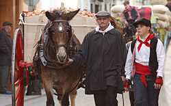 L'associació dels Tres Tombs de Vilanova pateix per el futur de la festa. fdg/c.castro
