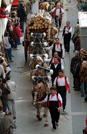 El carro de la sínia Cal Guerrero als Tres Tombs de Vilanova 2004. fdg/ c. castro