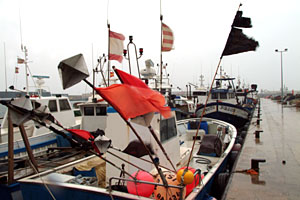 El fort vent i la pluja han deixat a port la flota pesquera de Vilanova. fdg/carles castro
