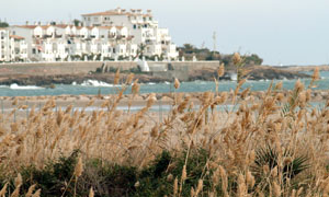 La Platja Llarga una de les poques zones del litoral català verge. fdg/carles castro