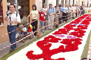 Imatge d'arxiu de les catifes de flors de Sitges. fdg/carles castro