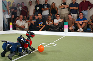 Els gossos robots participen en la competició internacional Robocup. fdg/ carles castro
