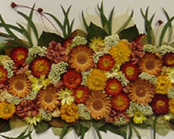 Quadre amb flors naturals de Pilar Gil
