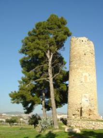 La Torre d'enveja al costat de l'ermita