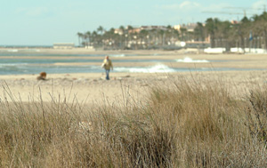 Imatge d'arxiu de la Platja Llarga de Vilanova, on finalment ja no es construiran els 250 habitatges i l'hotel previstos. FdG/Carles Castro