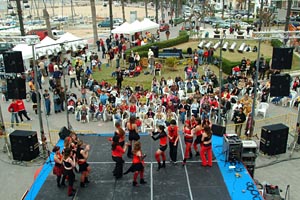 Diferents grups de la ciutat van oferir espectacles als participants de les jornades. fdg/miquel vall