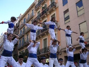 els falcons en acció