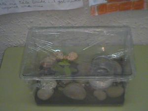 En lexposició podrem veure elements tan didàctics i imaginatius com aquesta urna que exemplifica el cicle de laigua en la natura