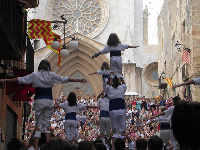 els falcons a Tarragona